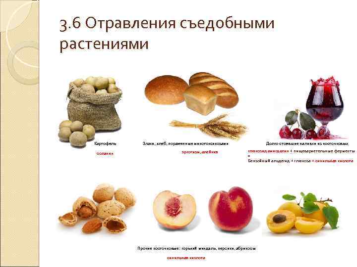 3. 6 Отравления съедобными растениями Картофель соланин Злаки, хлеб, пораженные микотоксикозами эрготизм, алейкия Долго