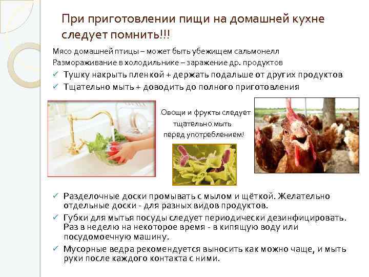 При приготовлении пищи на домашней кухне следует помнить!!! Мясо домашней птицы – может быть