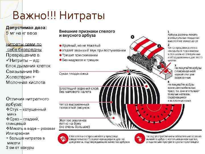Важно!!! Нитраты Допустимая доза: 5 мг на кг веса нитраты сами по себе безвредны
