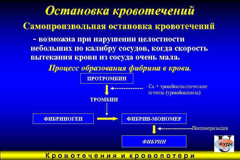   Остановка кровотечений Самопроизвольная остановка кровотечений  - возможна при нарушении целостности небольших