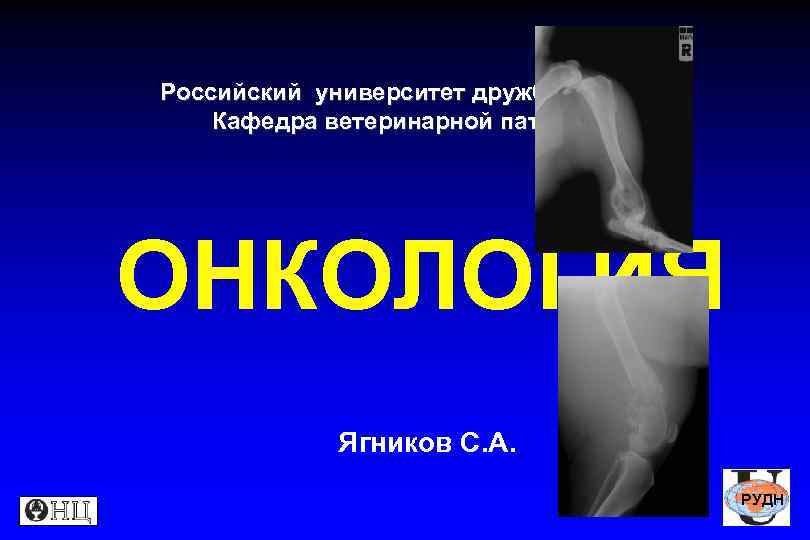 Российский университет дружбы народов Кафедра ветеринарной патологии ОНКОЛОГИЯ Ягников С. А. РУДН 