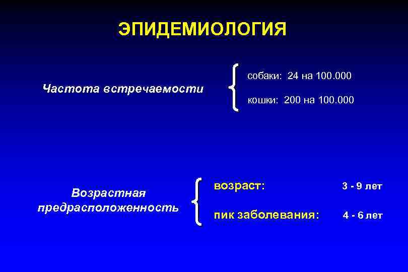  ЭПИДЕМИОЛОГИЯ собаки: 24 на 100. 000 Частота встречаемости кошки: 200 на 100. 000