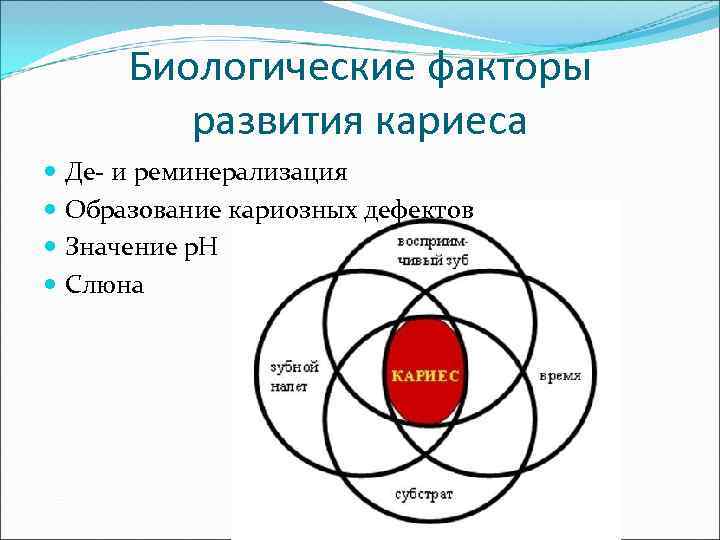  Биологические факторы   развития кариеса  Де- и реминерализация  Образование кариозных