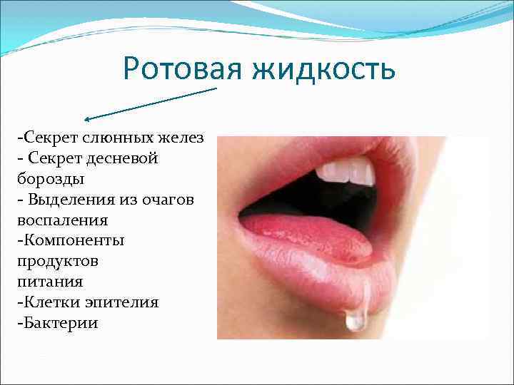   Ротовая жидкость -Секрет слюнных желез - Секрет десневой борозды - Выделения из