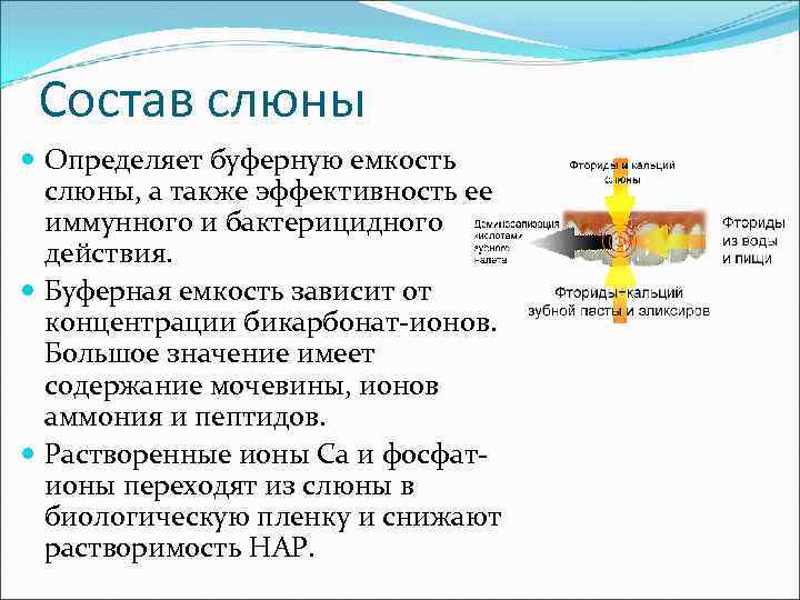  Состав слюны  Определяет буферную емкость  слюны, а также эффективность ее 
