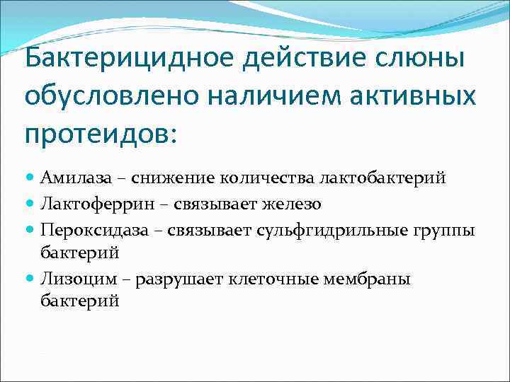 Бактерицидное действие слюны обусловлено наличием активных протеидов:  Амилаза – снижение количества лактобактерий 