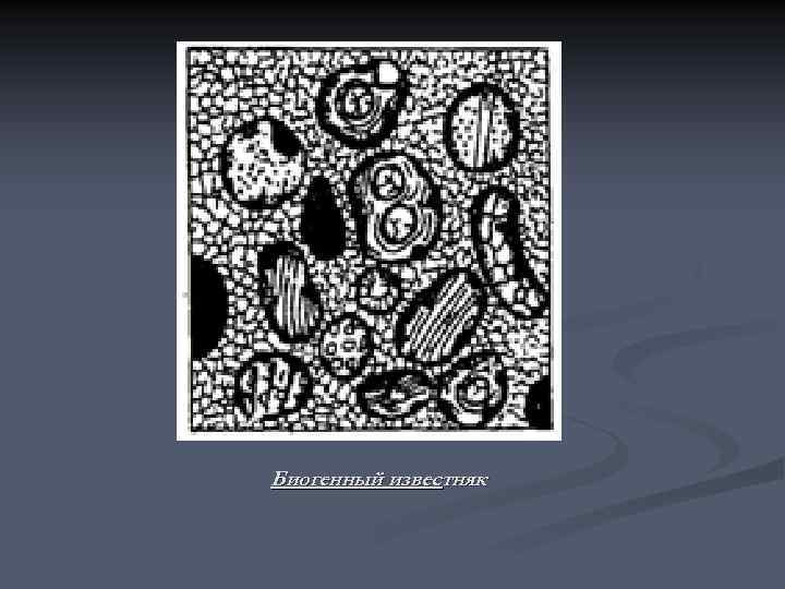 Биогенный известняк 