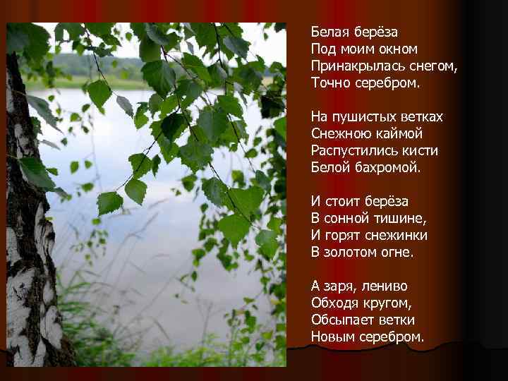 Белая берёза Под моим окном Принакрылась снегом, Точно серебром.  На пушистых ветках Снежною