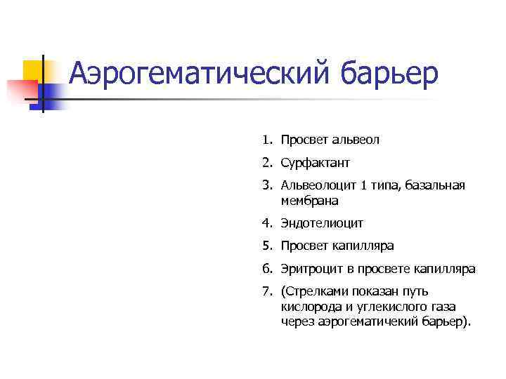Аэрогематический барьер 1. Просвет альвеол 2. Сурфактант 3. Аэрогематический барьер 1. Просвет альвеол 2. Сурфактант 3.
