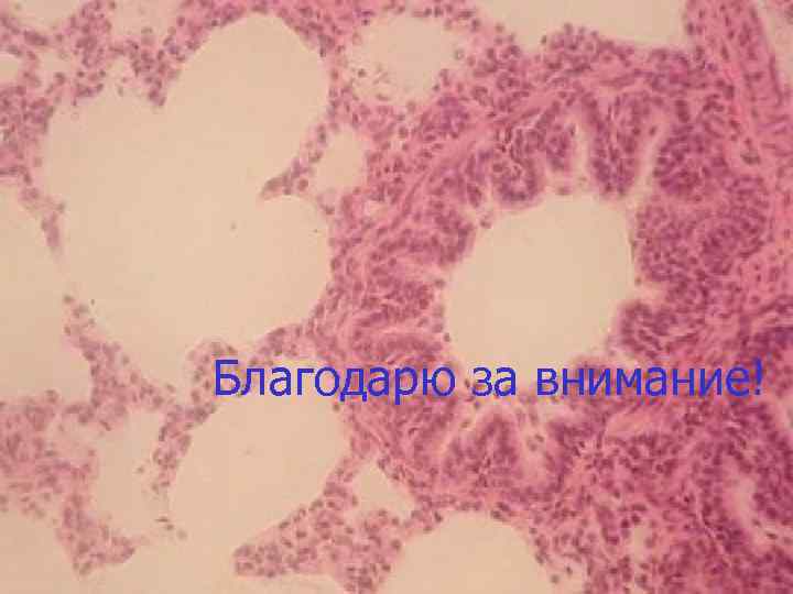 Благодарю за внимание! Благодарю за внимание!