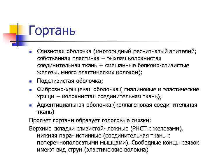 Гортань n Слизистая оболочка (многорядный реснитчатый эпителий; собственная пластинка – рыхлая волокнистая Гортань n Слизистая оболочка (многорядный реснитчатый эпителий; собственная пластинка – рыхлая волокнистая
