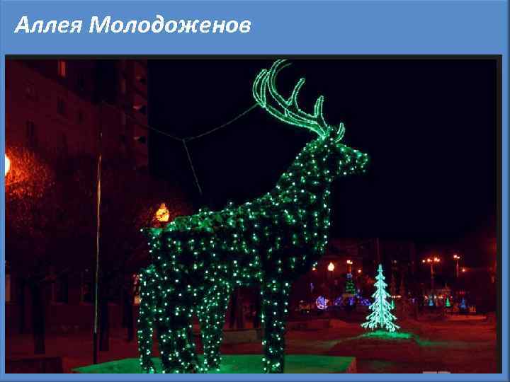 Аллея Молодоженов 