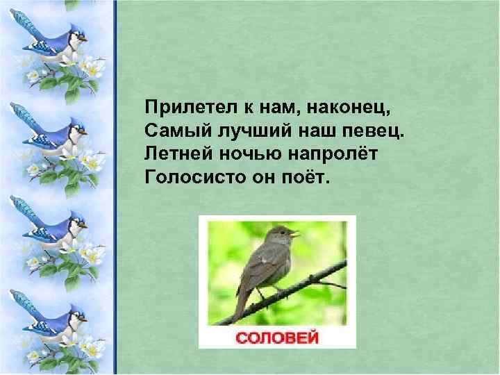 Прилетел к нам, наконец, Самый лучший наш певец. Летней ночью напролёт Голосисто он поёт.
