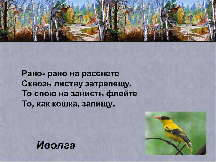 Рано- рано на рассвете Сквозь листву затрепещу. То спою на зависть флейте То, как