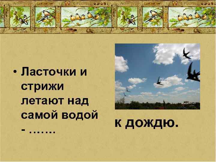  • Ласточки и стрижи летают над самой водой - ……. к дождю. 