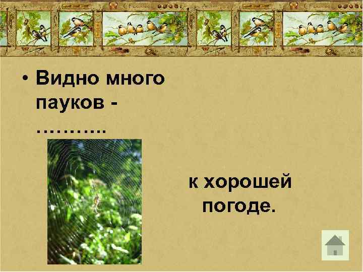  • Видно много пауков ………. . к хорошей погоде. 