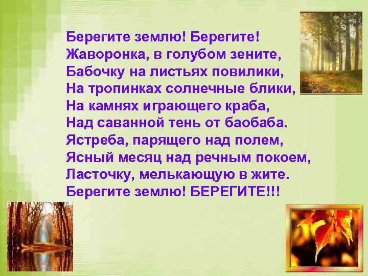 Берегите землю! Берегите! Жаворонка, в голубом зените, Бабочку на листьях повилики, На тропинках солнечные
