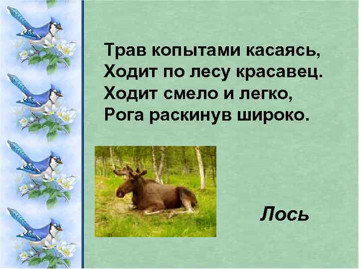 Трав копытами касаясь, Ходит по лесу красавец. Ходит смело и легко, Рога раскинув широко.