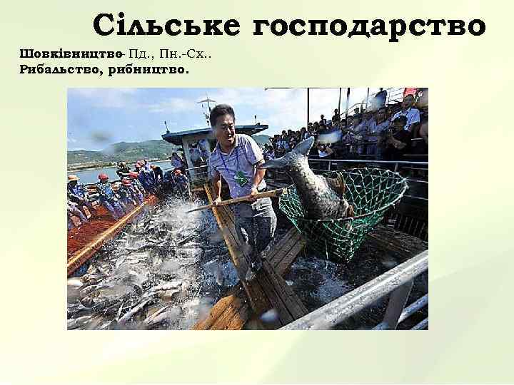    Сільське господарство Шовківництво Пд. , Пн. -Сх. .   