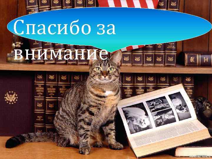 Спасибо за внимание 