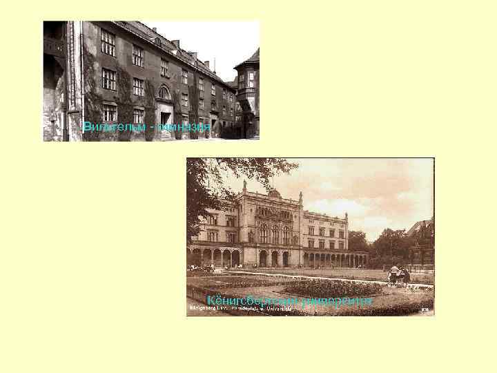 Вильгельм - гимназия    Кёнигсбергский университет 