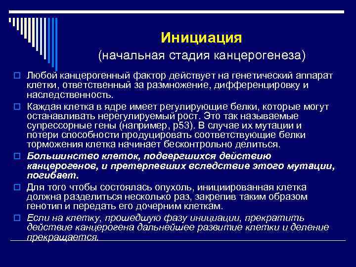      Инициация   (начальная стадия канцерогенеза) o Любой канцерогенный