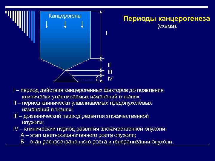    Канцерогены     Периоды канцерогенеза    