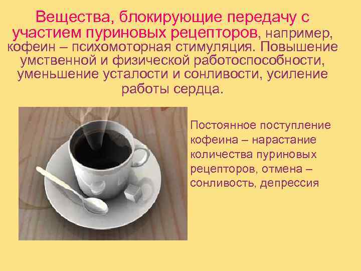   Вещества, блокирующие передачу с участием пуриновых рецепторов, например, кофеин – психомоторная стимуляция.