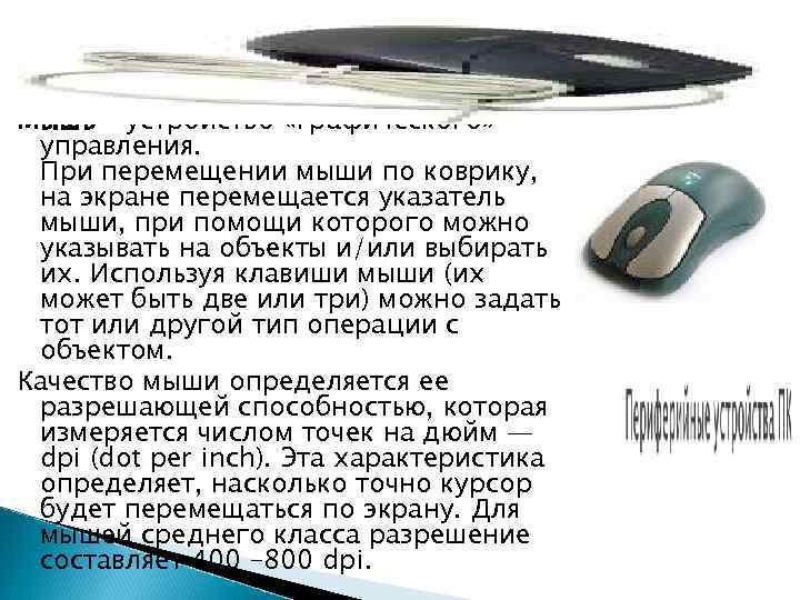 Мышь – устройство «графического» управления. При перемещении мыши по коврику, на Мышь – устройство «графического» управления. При перемещении мыши по коврику, на