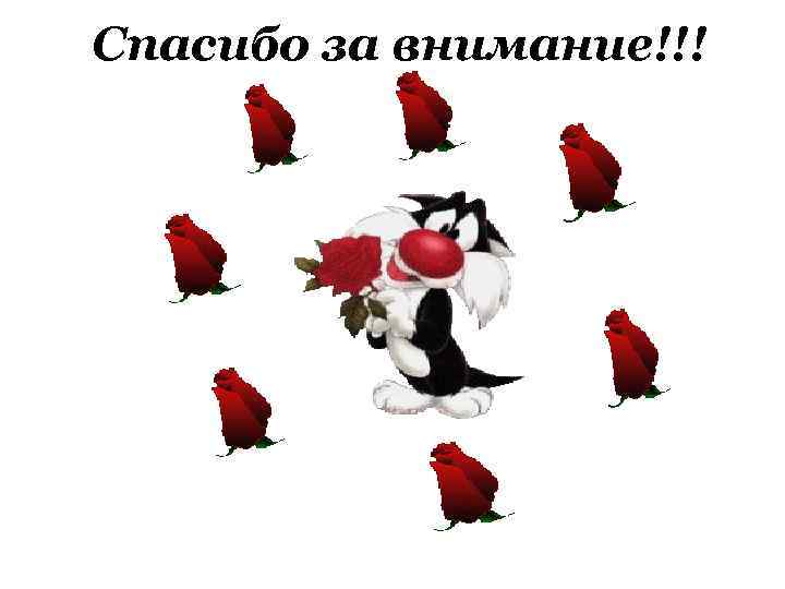 Спасибо за внимание!!! 