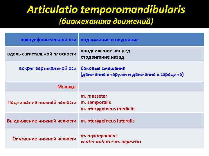 Articulatio temporomandibularis (биомеханика движений) вокруг фронтальной оси поднимание и опускание вдоль сагиттальной плоскости продвижение