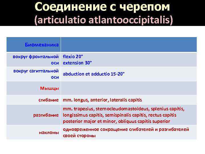 Соединение с черепом (articulatio atlantooccipitalis) Биомеханика вокруг фронтальной flexio 20° оси extension 30° вокруг