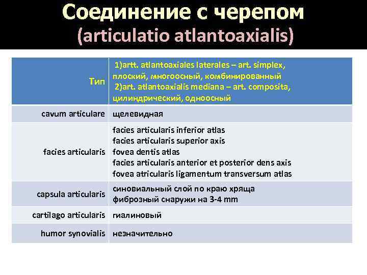 Соединение с черепом (articulatio atlantoaxialis) 1)artt. atlantoaxiales laterales – art. simplex, плоский, многоосный, комбинированный