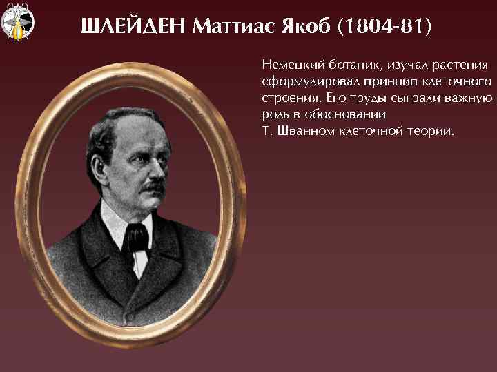 Якоб происхождение. Маттиас Якоб Шлейден (1804-1881). Маттиас Якоб Шлейден открытия. Маттиас Шлейден в биологии. Шлейден вклад в биологию.