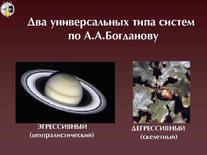 Два универсальных типа систем по А. А. Богданову ЭÃРЕССИВНЫЙ (öентралистический) ДЕÃРЕССИВНЫЙ (скелетный) 