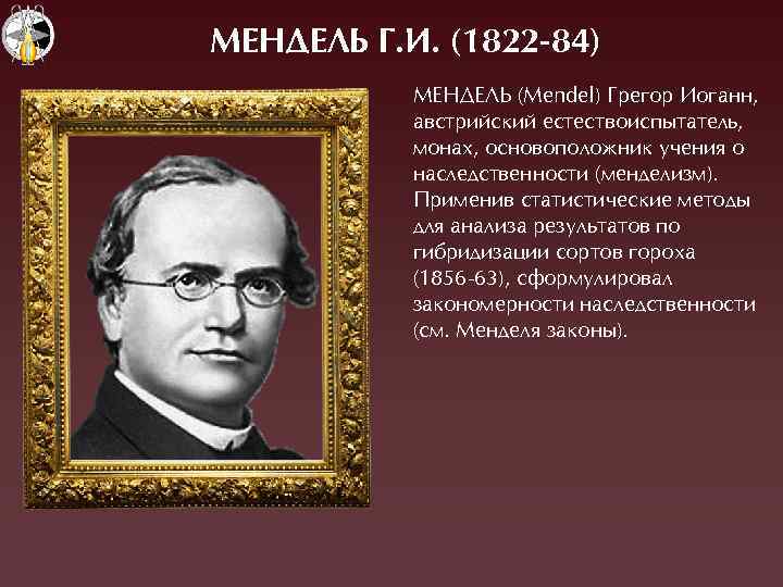 МЕНДЕЛЬ Ã. И. (1822 -84) ÌЕНÄЕËÜ (Mendel) Ãрегор Èоганн, австрийский естествоиспытатель, монах, основоположник учения
