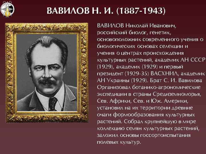 ВАВИЛОВ Н. И. (1887 -1943) ВÀВÈËОВ Николай Èванович, российский биолог, генетик, основоположник современного учения