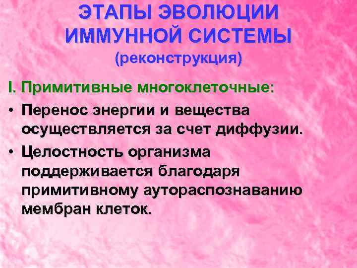 ЭТАПЫ ЭВОЛЮЦИИ ИММУННОЙ СИСТЕМЫ (реконструкция) I. Примитивные многоклеточные: • Перенос энергии и вещества осуществляется