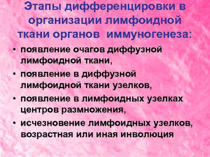 Этапы дифференцировки в организации лимфоидной ткани органов иммуногенеза: • появление очагов диффузной лимфоидной ткани,