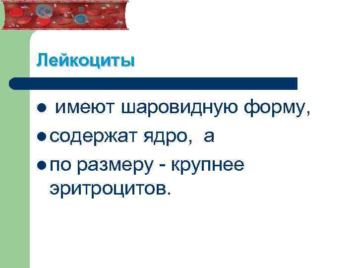 Лейкоциты имеют шаровидную форму, l содержат ядро, а l по размеру - крупнее эритроцитов.