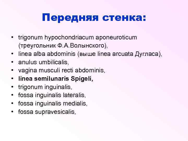 Передняя стенка: • trigonum hypochondriacum aponeuroticum (треугольник Ф. А. Волынского), • linea alba abdominis