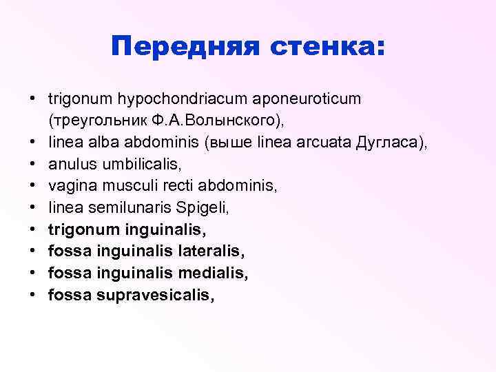 Передняя стенка: • trigonum hypochondriacum aponeuroticum (треугольник Ф. А. Волынского), • linea alba abdominis