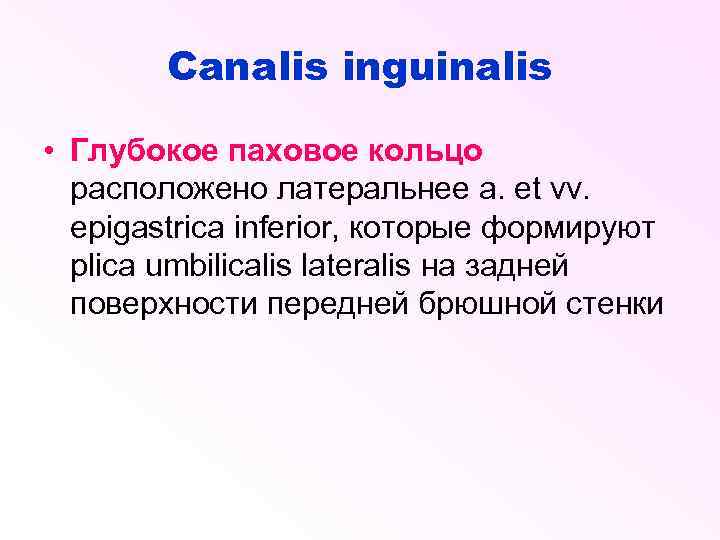 Canalis inguinalis • Глубокое паховое кольцо расположено латеральнее a. et vv. epigastrica inferior, которые