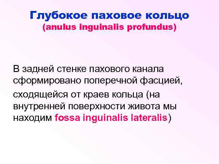 Глубокое паховое кольцо (anulus inguinalis profundus) В задней стенке пахового канала сформировано поперечной фасцией,