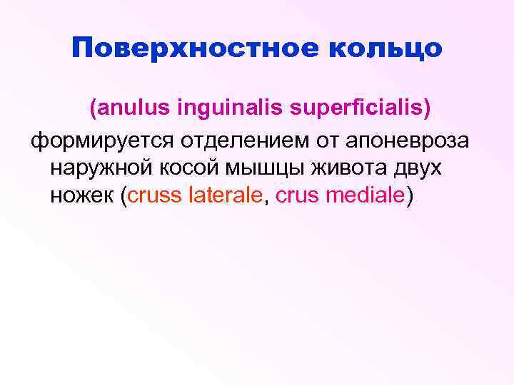 Поверхностное кольцо (anulus inguinalis superficialis) формируется отделением от апоневроза наружной косой мышцы живота двух