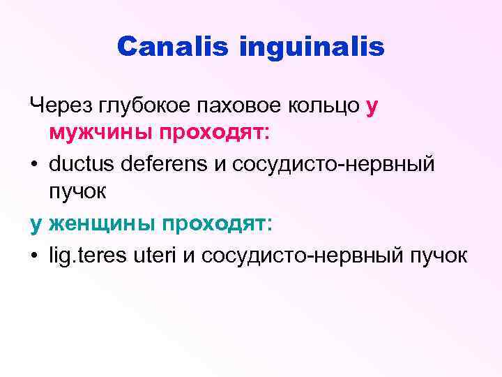 Canalis inguinalis Через глубокое паховое кольцо у мужчины проходят: • ductus deferens и сосудисто-нервный