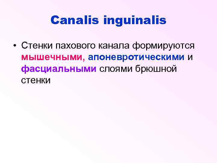 Canalis inguinalis • Стенки пахового канала формируются мышечными, апоневротическими и фасциальными слоями брюшной стенки