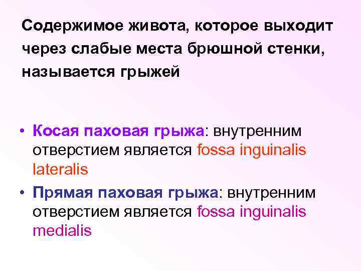 Содержимое живота, которое выходит через слабые места брюшной стенки, называется грыжей • Косая паховая