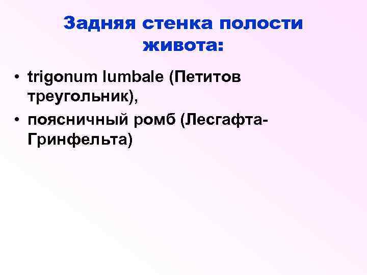 Задняя стенка полости живота: • trigonum lumbale (Петитов треугольник), • поясничный ромб (Лесгафта. Гринфельта)