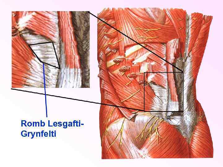 Romb Lesgafti. Grynfelti 